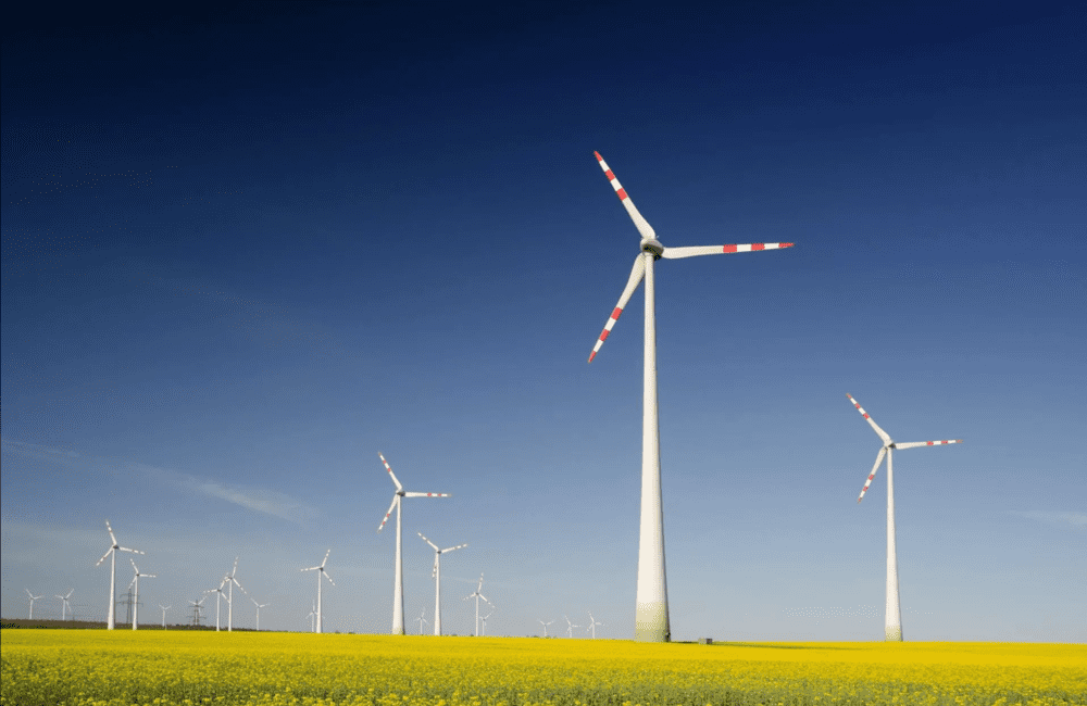 Green energy wind