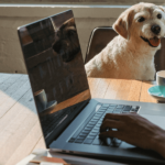 Dog Friendly Offices (1)